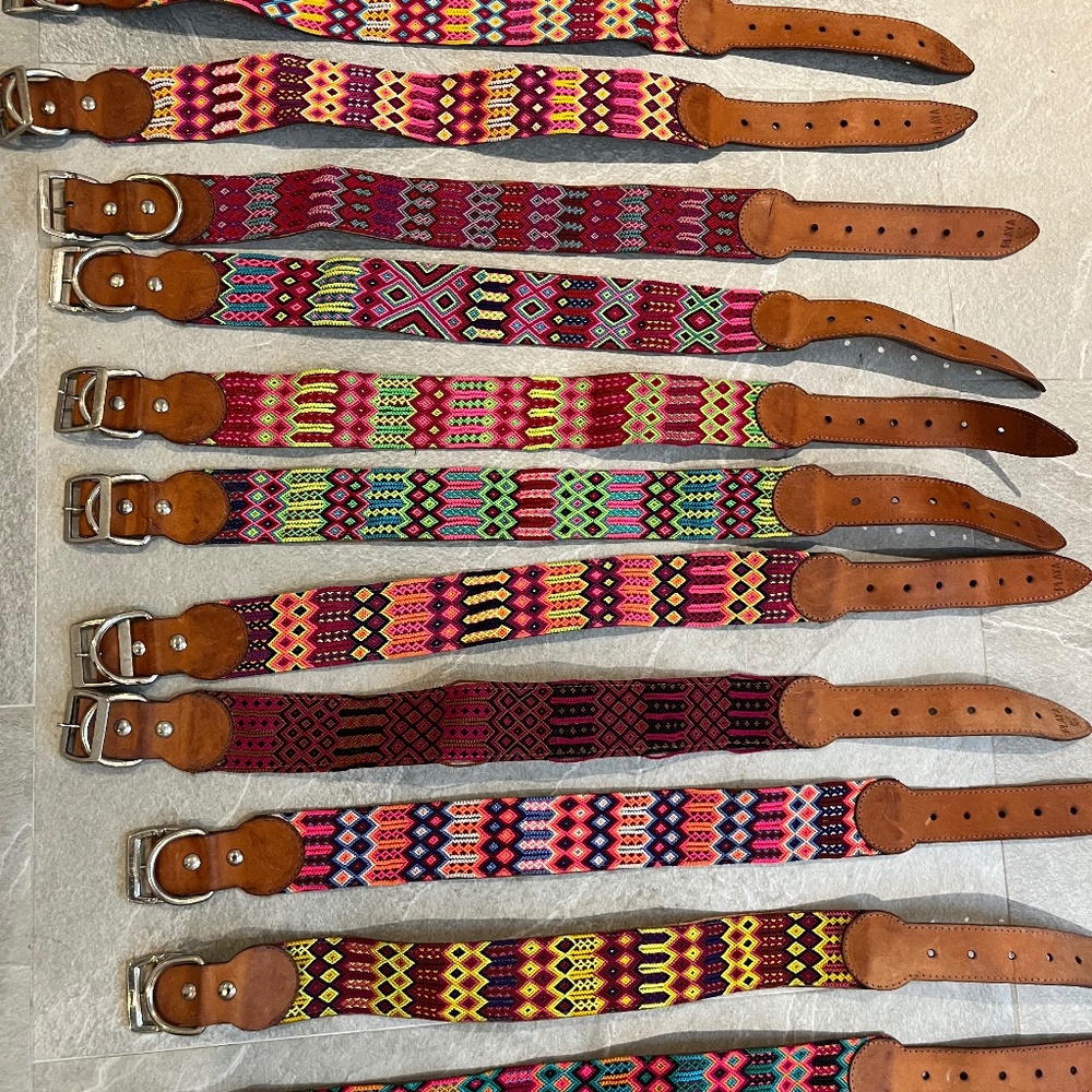Dog collars